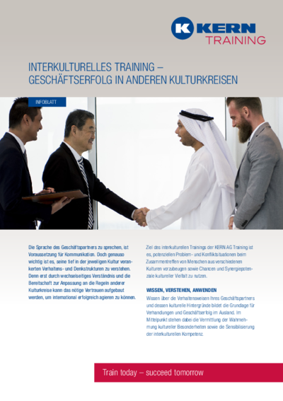 PDF Download Infoblatt Interkulturelles Training