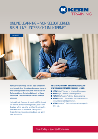 PDF Download Infoblatt Online Learning